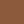 Brown fawn