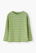 Striped jersey top, Apple, webstill