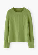 Raglan sweater, Apple, webstill