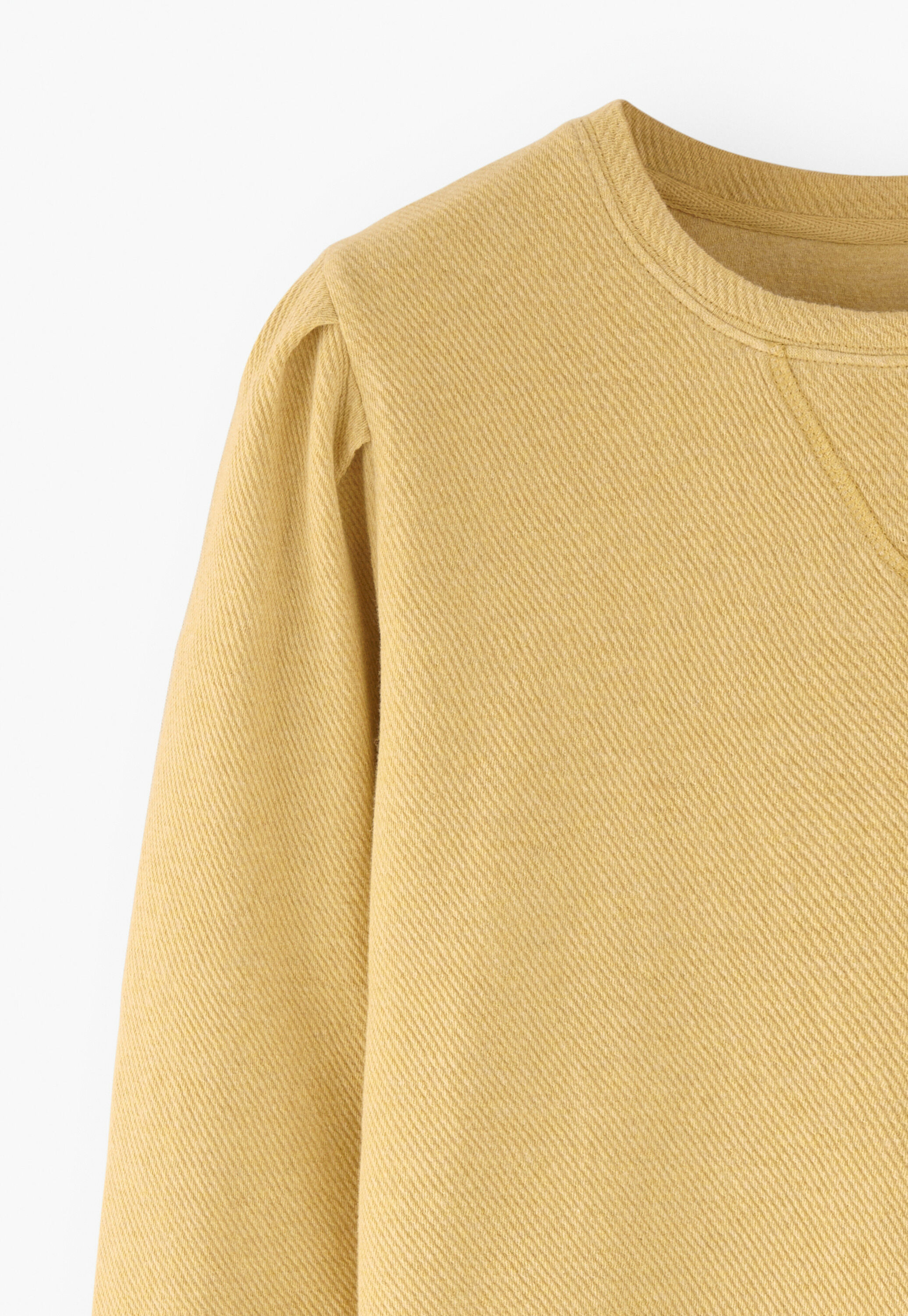 Pleat-sleeve sweatshirt