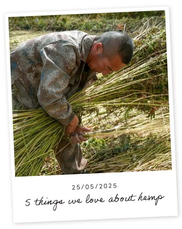 5 things we love about hemp